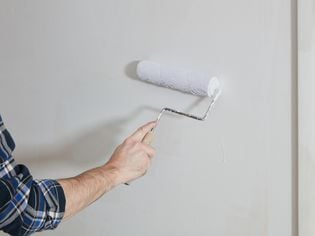 VOC Paint vs No-VOC Paint Comparison Guide