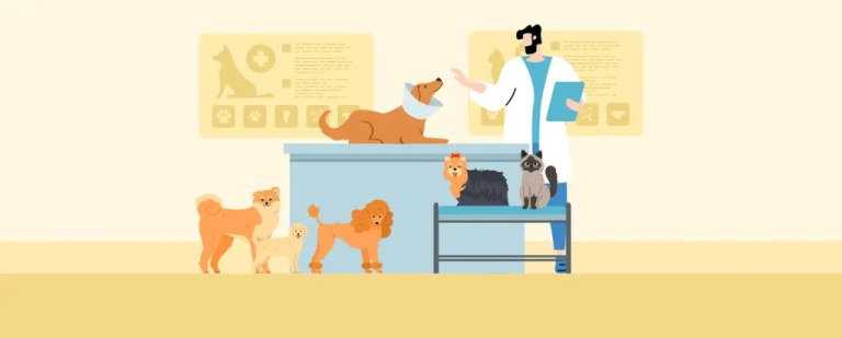 image-8-1024x412.png