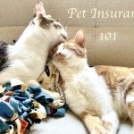 insurance-1-13.jpg